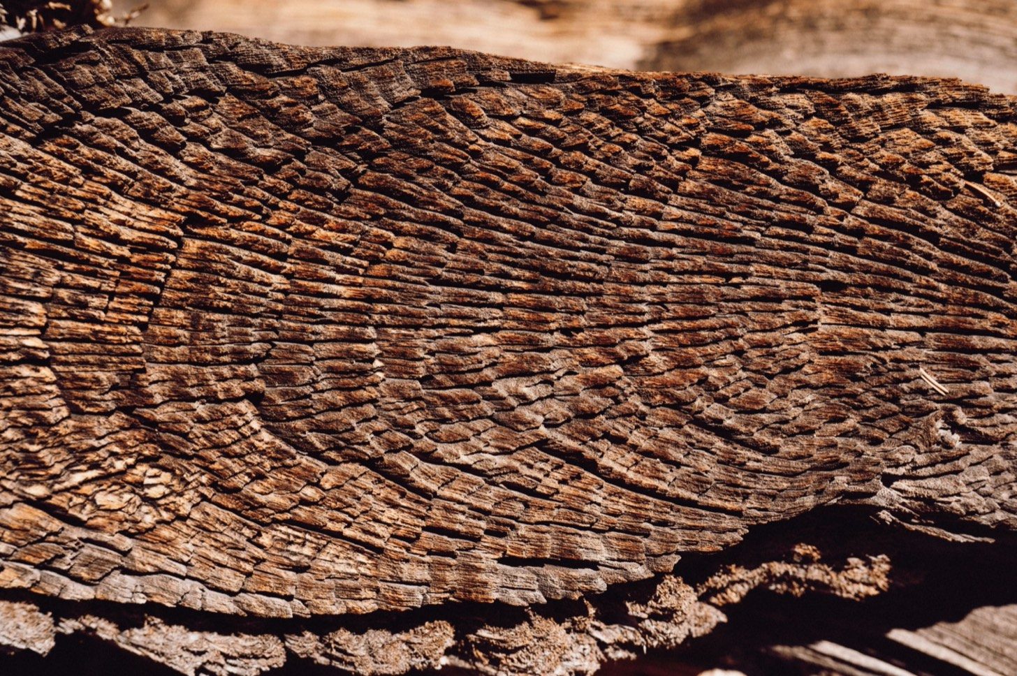 Weathered wood texture